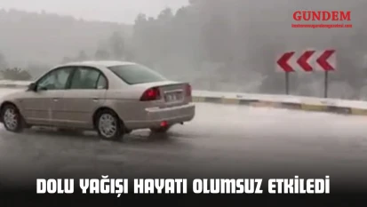 Kastamonu'da Dolu Yağışı Hayatı Olumsuz Etkiledi