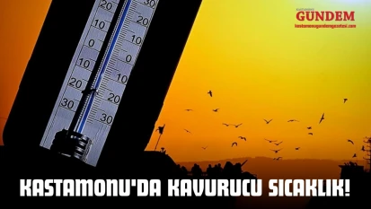 Kastamonu'da Kavurucu Sıcaklık!