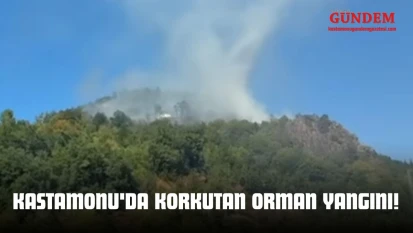 Kastamonu'da Korkutan Orman Yangını!