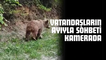 Kastamonu'da Vatandaşların Ayıyla Sohbeti Kamerada