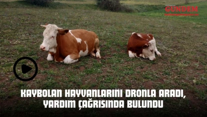 Kaybolan Hayvanlarını Dronla Aradı, Yardım Çağrısında Bulundu