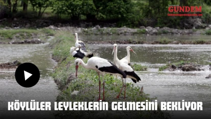 Köylüler Leyleklerin Gelmesini Bekliyor