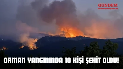 Orman Yangınında 10 Kişi Şehit Oldu
