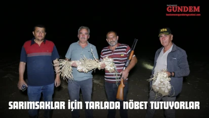Sarımsaklar İçin Tarlada Nöbet Tutuyorlar