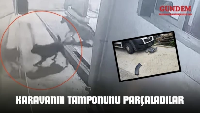 Sokak Köpekleri Karavanın Tamponunu Parçaladı
