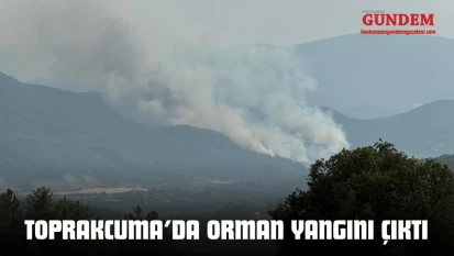 Toprakcuma'da Orman Yangını Çıktı