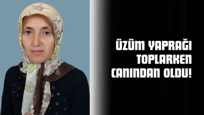 Üzüm Yaprağı Toplarken Canından Oldu!