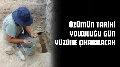 Üzümün Tarihi Yolculuğu Gün Yüzüne Çıkarılacak