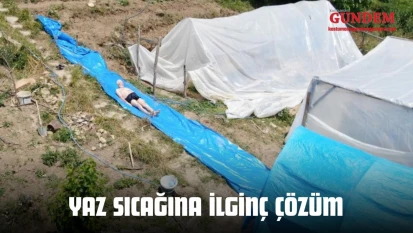 Yaz Sıcağına İlginç Çözüm