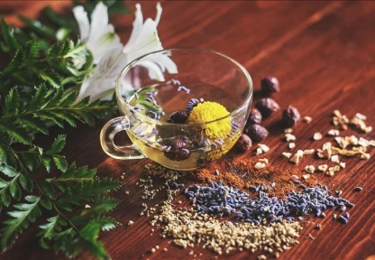 Bitki Koruma Ürünlerinin Satışında Elektronik B-Reçete Takip Sistemi Zorunluluğu