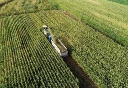 Bitkisel Üretim 6 Katına Çıktı