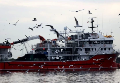 Hamsinin İzini Süren Karadenizli Balıkçılar Rotalarını İğneada'ya Çevirdi