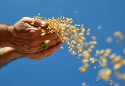 İhracat 1 Milyar Dolara Yaklaştı