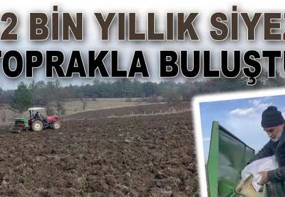 Kastamonu'da Siyez Toprakla Buluştu