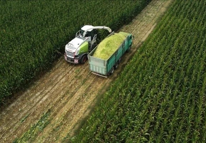 Tarım-ÜFE Yüzde 8,46 Arttı