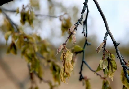 Üreticilere Verilen Destekler 158,55 Milyar Liraya Yükseldi