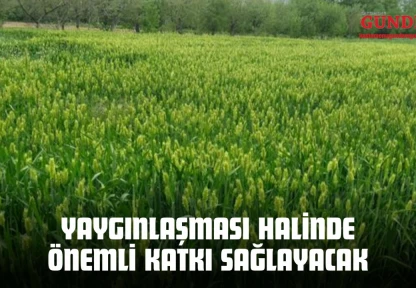 Yaygınlaşması Halinde Önemli Katkı Sağlayacak