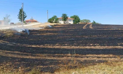 Alaca'da Anız Yangını