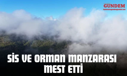 Kastamonu'da Sis ve Orman Manzarası Mest Etti