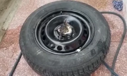 Yavru Kediyi İtfaiye Kurtardı