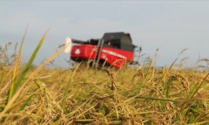 Üreticilere 4,2 Milyar Lira Hasar Tazminatı Ödendi