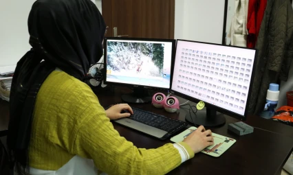 Yaban Hayatı Mercek Altında