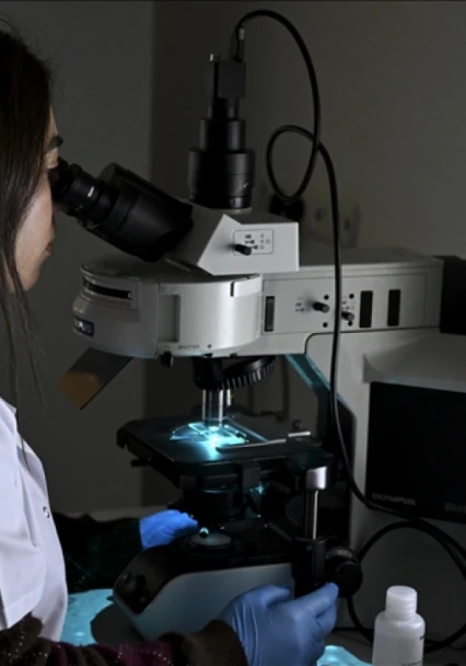 Türkiye Yerli Gen Tedavisi Araştırma Ürününün Üretim Sürecini Başlattı