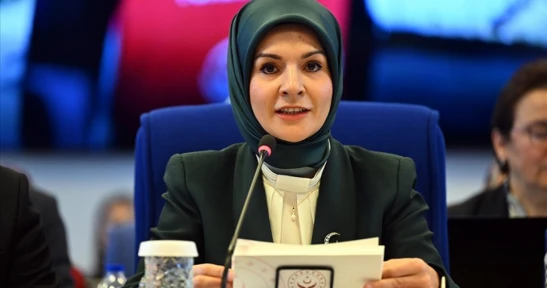 Bakan Göktaş'tan Doğal Gaz Desteği Açıklaması