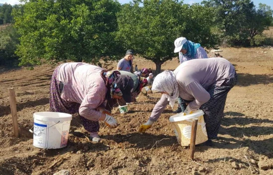 O Baharat Toprakla Buluştu