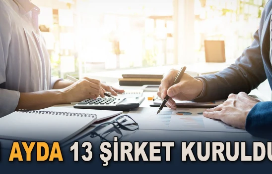 1 Ayda 13 Şirket Kuruldu
