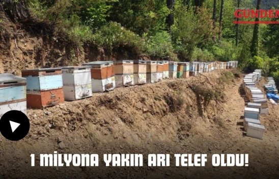 1 Milyona Yakın Arı Telef Oldu!