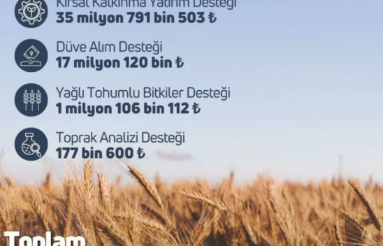 119,1 Milyon Liralık Destek Ödemesi Aktarıldı