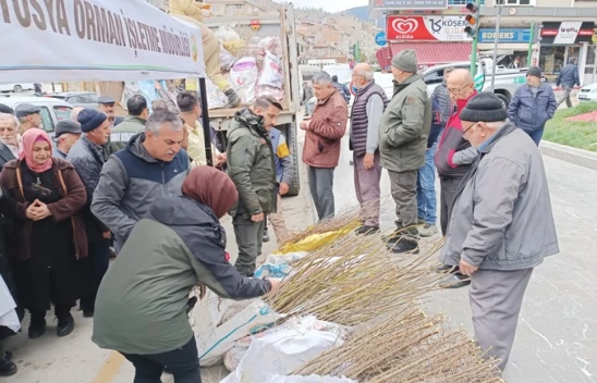 15 Bin Adet Fidan Dağıtıldı