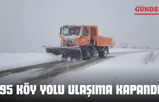 195 Köyün Yolu Ulaşıma Kapandı