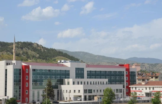 2 ayda 80 kişiyi kene ısırdı