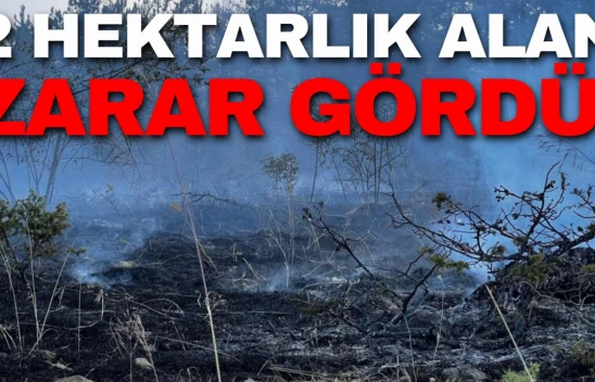 2 Hektarlık Alan Yangında Zarar Gördü!