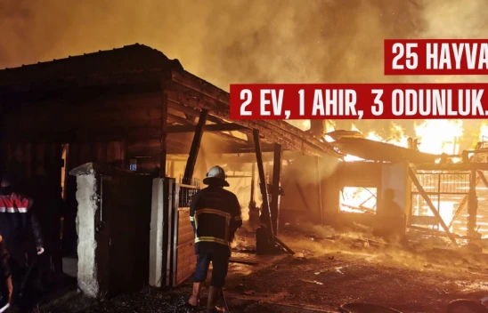25 hayvan ve 2 ev yandı!