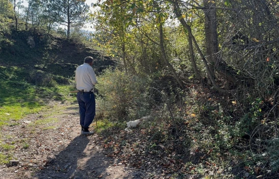 3 Köpeği Komşusu Tarafından Bıçaklandı