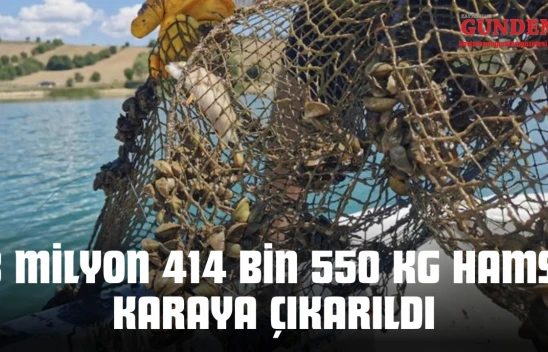 3 Milyon 414 Bin 550 Kg Hamsi Karaya Çıkarıldı