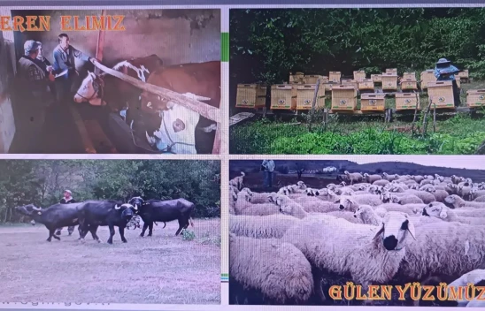 347 Orman Köylüsü Faizsiz Kredi Kullandı