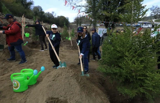 4 Bin 100 Fidan Toprakla Buluştu