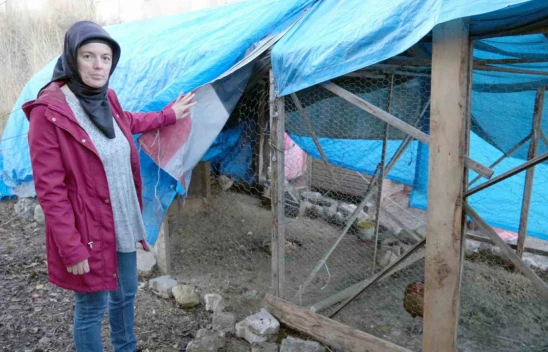 Sokak Köpekleri Hayallerini Kararttı