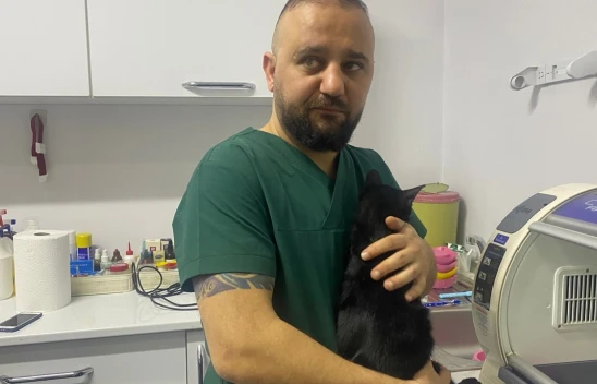 6. Kattan Düşen Kedinin Kaval Kemiği Kırıldı