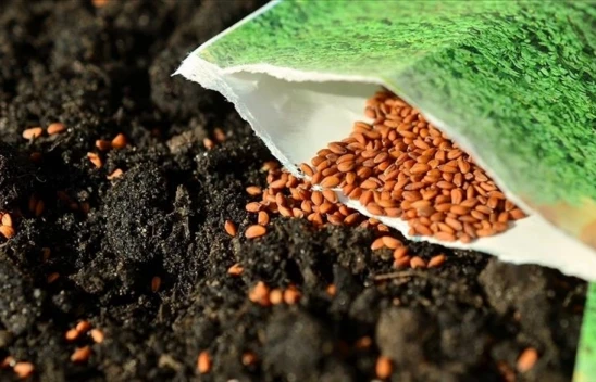 64 Yerli Tohum Çeşidi Daha Tarıma Kazandırıldı