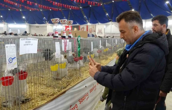 7. Ulusal Kümes Hayvanları Gösterisi