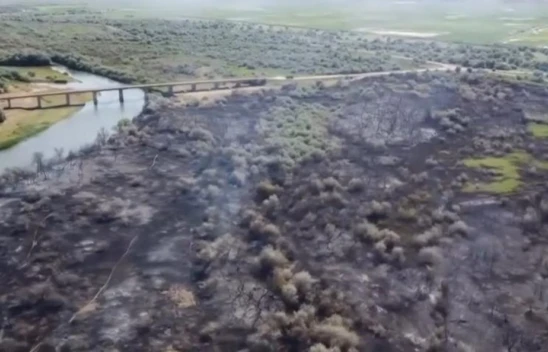 80 Dönümlük Mera Kül Oldu