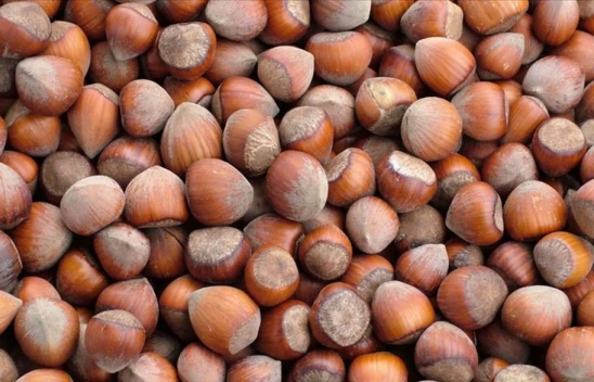 852 Milyon Doları Aşkın Gelir Sağlandı