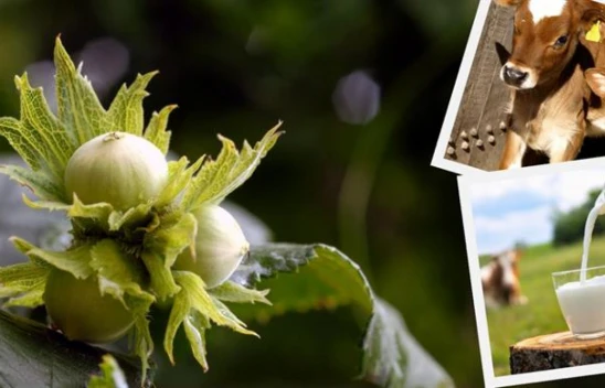 945 Milyon Liralık Destek Çiftçilere Aktarıldı