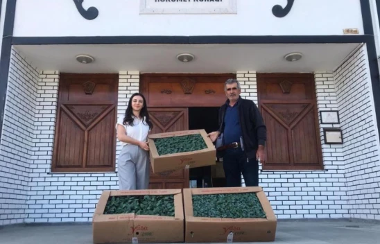 Abana'da Çiftçilere 20 Bin Sebze Fidesi Dağıtıldı