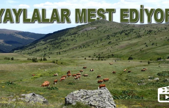 Adına Türküler Yazılan O Yer Mest Ediyor